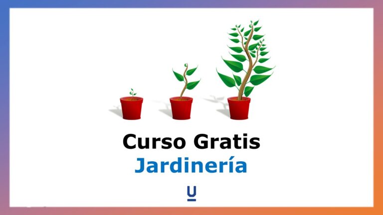 Aprende los fundamentos de la jardinería con nuestros tutoriales básicos 2 aprende los fundamentos de la jardineria con nuestros tutoriales basicos