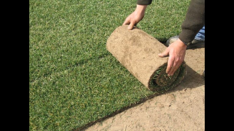 Cómo lograr una hermosa área verde: instalación de césped en Los Campitos 6 como lograr una hermosa area verde instalacion de cesped en los campitos