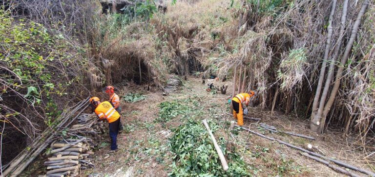construccion en tegueste descubre los proyectos mas destacados de esta localidad tinerfena