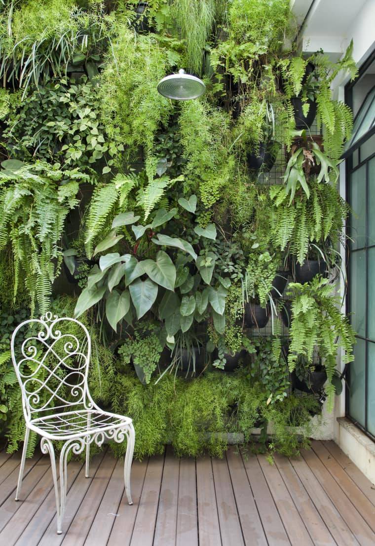 Crea tu propio oasis verde en casa: Aprende cómo crear un jardín vertical. 3 crea tu propio oasis verde en casa aprende como crear un jardin vertical