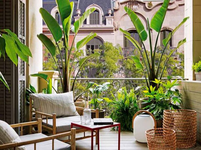 Crea un oasis en casa: Diseña tu propio jardín con estos consejos DIY 1 crea un oasis en casa disena tu propio jardin con estos consejos diy