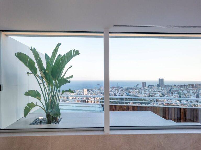 Disfruta del mejor ambiente en tu hogar con la terraza perfecta en Santa Cruz Tenerife 1 disfruta del mejor ambiente en tu hogar con la terraza perfecta en santa cruz tenerife