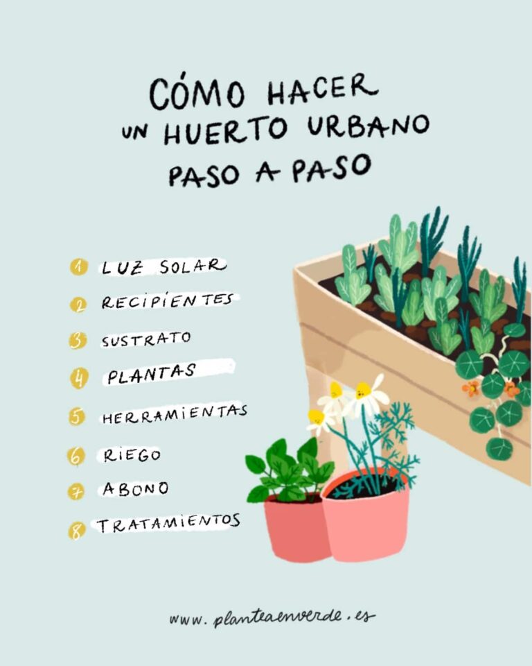 Guía completa para crear y disfrutar de tu propio huerto urbano en casa 2 guia completa para crear y disfrutar de tu propio huerto urbano en casa