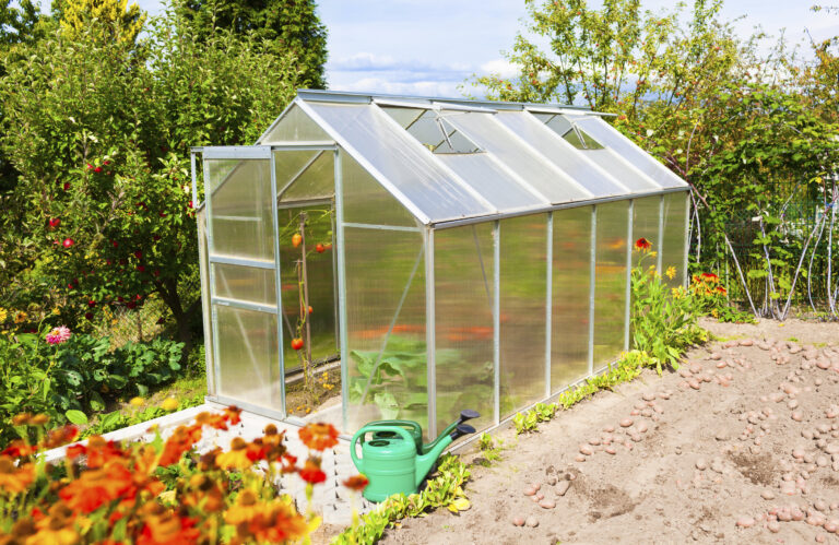Guía paso a paso: Cómo construir un invernadero casero en tu jardín 3 guia paso a paso como construir un invernadero casero en tu jardin