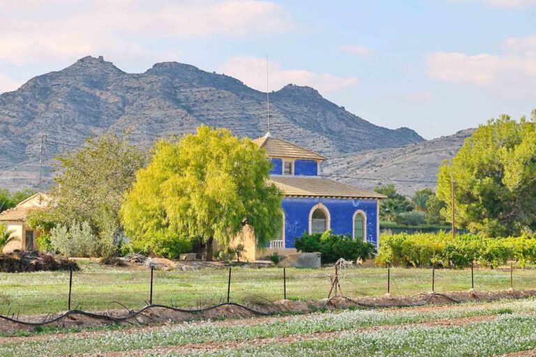 Mejora tu jardín con una instalación de sistemas de riego en Ofra 9 mejora tu jardin con una instalacion de sistemas de riego en ofra