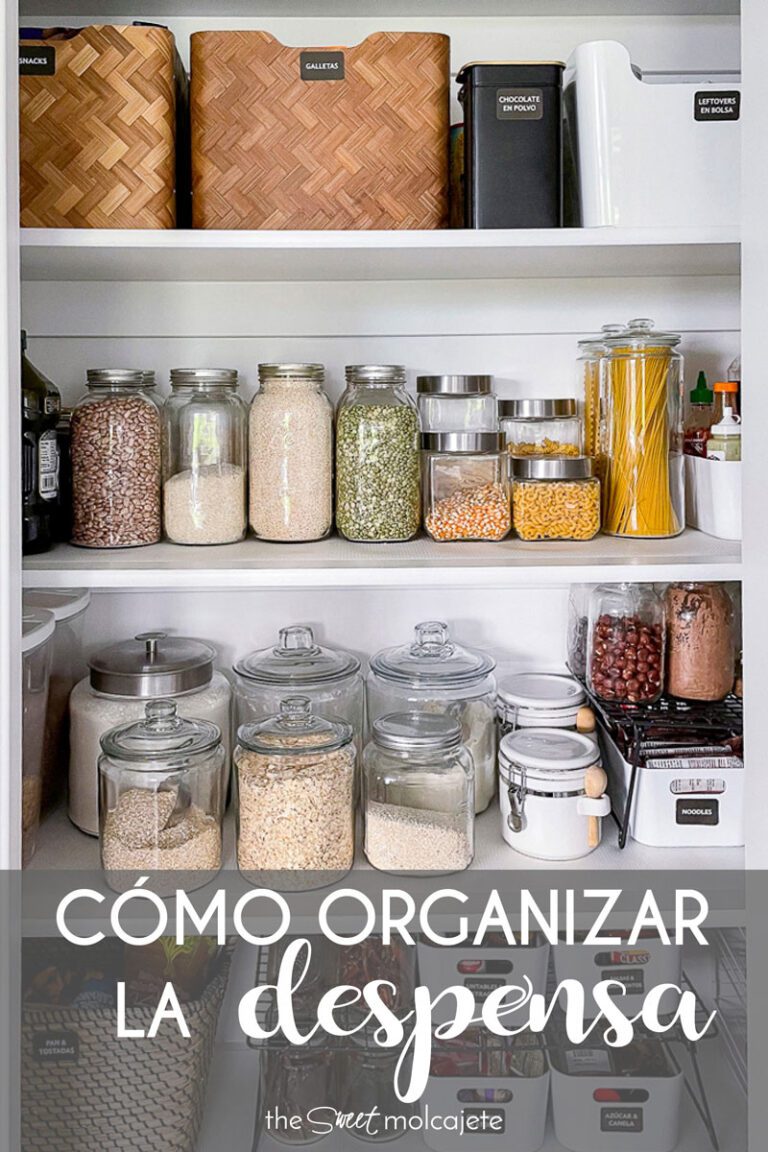 Tips para una despensa y cocina organizadas: Ahorra tiempo y dinero en la cocina 1 tips para una despensa y cocina organizadas ahorra tiempo y dinero en la cocina