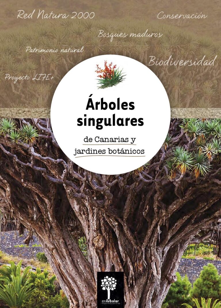 transforma tu hogar en anaga con la renovacion de jardines