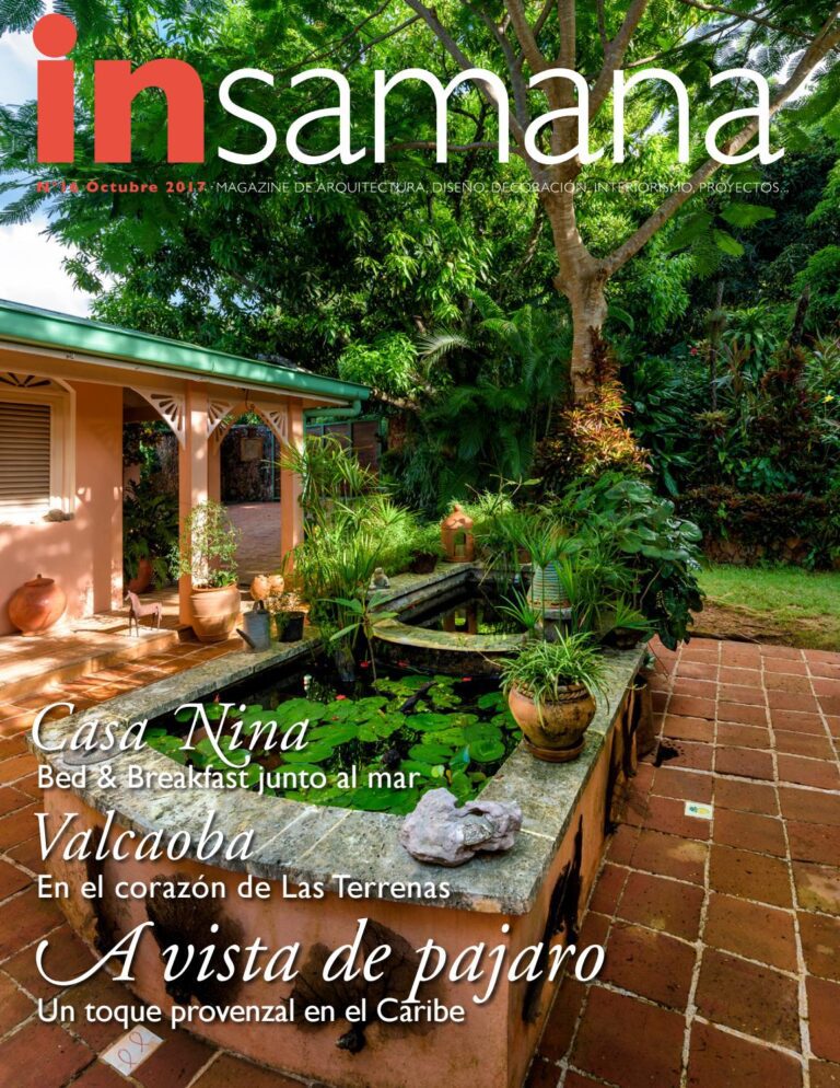 Transforma tu patio en un oasis con el acondicionamiento en Las Delicias 1 transforma tu patio en un oasis con el acondicionamiento en las delicias